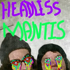 HEADLESSMANTIS