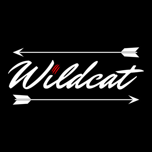 SoundCloud profile picture for @wildcat