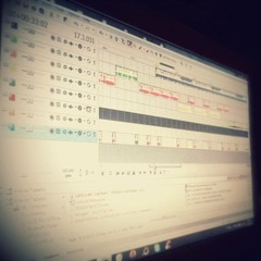 DJ PITBULL DE SANTA CRUZ®