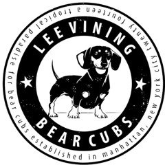 Lee Vining Bear Cubs