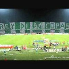 Johan Sebastian Sandoval