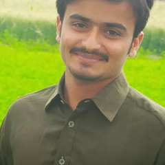 Waqar Hussain