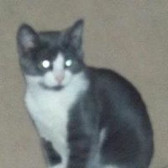 Delores Michelle Clark