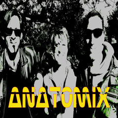 NUBIQ - ANATOMIX