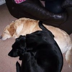 Katie Pallender Walsh