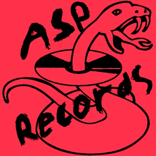 ASP Records’s avatar