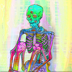 Spiritual Terrestrial