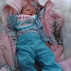 Nicole Lynn Schleyer