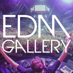 EDMGALLERY