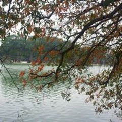 Học Tiếng Hàn