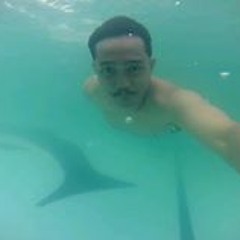 Ageng Fajar Pangestu