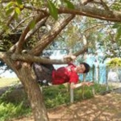 Gregory Josué Carvalho