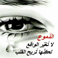 user813780098