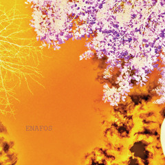ENAFOS