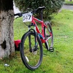 Daniel Bartolome Toledo