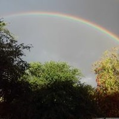 Rochellealex Manriquez