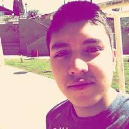 Gabriel Inostroza’s avatar
