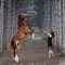 user950219001