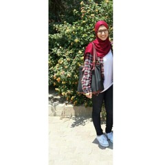Dina Khaled Mostafa