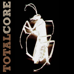 TotalCore