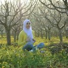 lauraalwardani