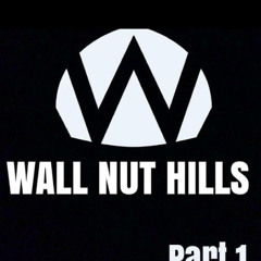 Wallnut hills