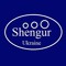 Alexandr  Shengur