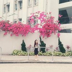 Yansha Chow