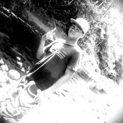 Wade