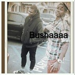 Martin Busha Clarke Priv