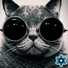 Martin Pikk Anderson