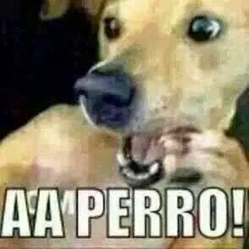 El (deity) intelligence overview