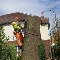 David James Piers Shawtyy