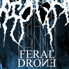 FERAL DRONE