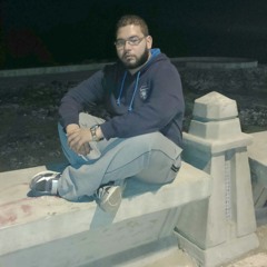 Eslam El-hashemy