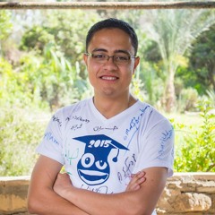 Mohamed Sultan 29