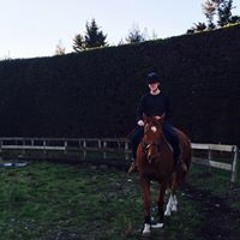 Luke Benjamin Tearle