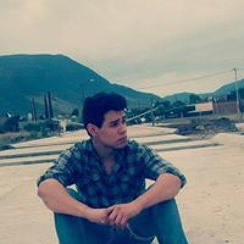 Luis Armando Topete’s avatar