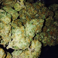 Finn Åvik Kristiansen