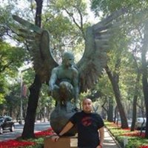Luis Torres’s avatar