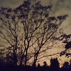 Reef Of Pigskin 朱皮礁