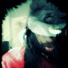 Joseph Strategic Williams