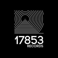 17853 records