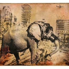 Almost Beard & Frat Boy