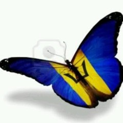 scatch mix soca