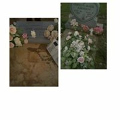 Shyňètričus Busţéř