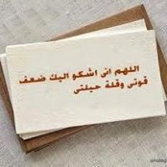 Heba Khalifa