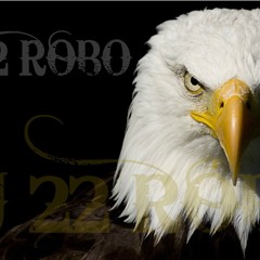 DJ 22 ROBO