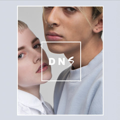 D N S