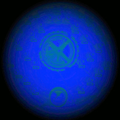 La Nuit des Lucioles